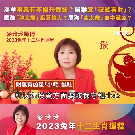 2023雞犯太歲|【麥玲玲2023兔年犯太歲化解法】五大犯太歲生肖、。